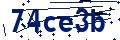 Codice di sicurezza