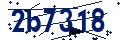 Codice di sicurezza