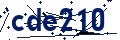 Codice di sicurezza
