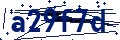 Codice di sicurezza