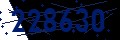 Codice di sicurezza
