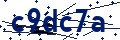 Codice di sicurezza