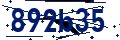 Codice di sicurezza