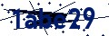 Codice di sicurezza