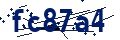 Codice di sicurezza