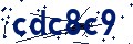Codice di sicurezza
