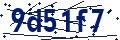 Codice di sicurezza