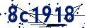 Codice di sicurezza