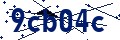 Codice di sicurezza