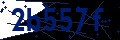 Codice di sicurezza