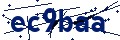 Codice di sicurezza