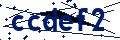 Codice di sicurezza