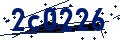 Codice di sicurezza