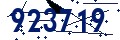 Codice di sicurezza