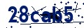 Codice di sicurezza