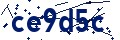Codice di sicurezza