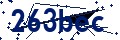 Codice di sicurezza