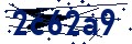 Codice di sicurezza