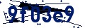Codice di sicurezza