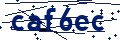 Codice di sicurezza
