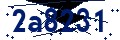 Codice di sicurezza