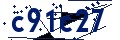 Codice di sicurezza