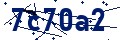 Codice di sicurezza