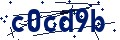 Codice di sicurezza