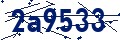 Codice di sicurezza