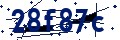 Codice di sicurezza