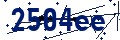 Codice di sicurezza