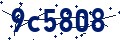 Codice di sicurezza