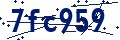 Codice di sicurezza