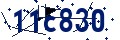 Codice di sicurezza