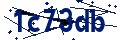 Codice di sicurezza