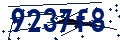 Codice di sicurezza
