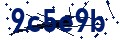 Codice di sicurezza