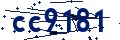 Codice di sicurezza