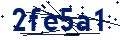 Codice di sicurezza