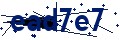 Codice di sicurezza