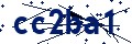 Codice di sicurezza