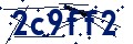 Codice di sicurezza