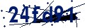 Codice di sicurezza