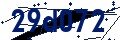 Codice di sicurezza