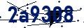 Codice di sicurezza