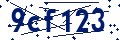 Codice di sicurezza