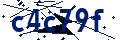 Codice di sicurezza