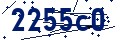 Codice di sicurezza