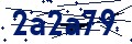 Codice di sicurezza