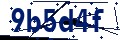Codice di sicurezza